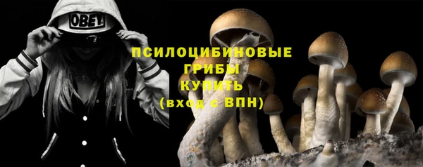 винт Армянск