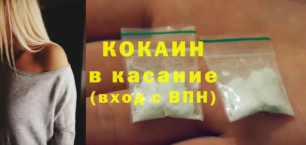 стаф Арсеньев