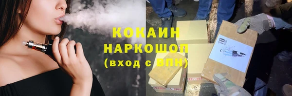 прущий лед Алзамай