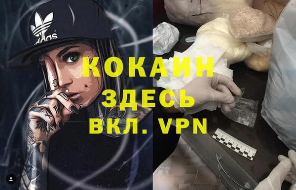 стаф Арсеньев