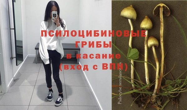 MESCALINE Аркадак