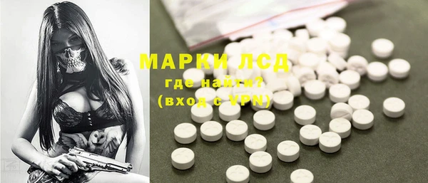 стаф Арсеньев