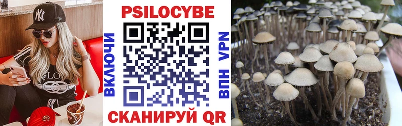 Галлюциногенные грибы мухоморы  hydra сайт  Белокуриха 