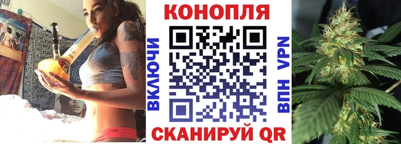 как найти закладки  mega ссылка  Бошки марихуана планчик  Белокуриха 